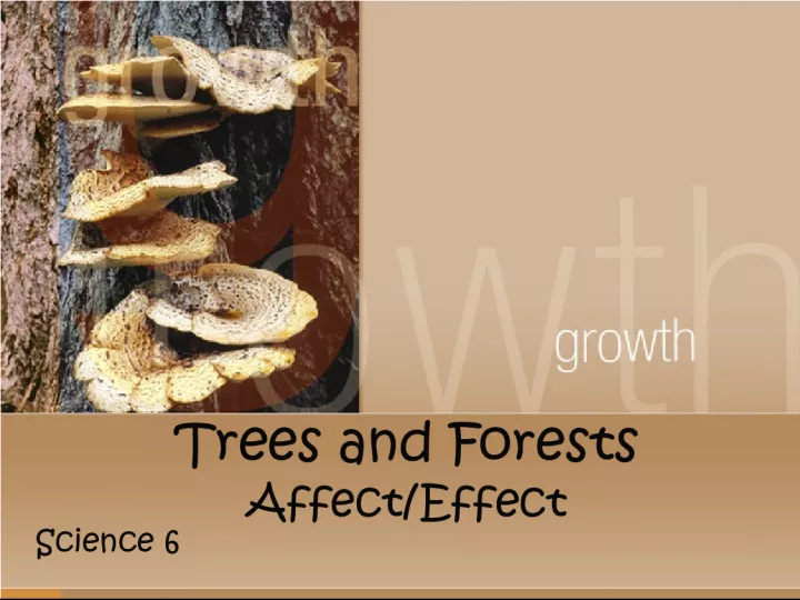 Trees and Forests: Affect and Effect on Science 6