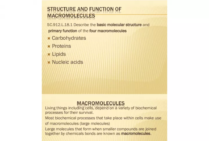 The Four Macromolecules: Structure and Function