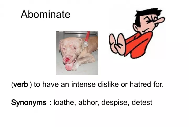 Three Vocabulary Words and Their Definitions

Abominate verb to have an intense dislike or hatred for Synonyms loathe, abhor, despise, detest
