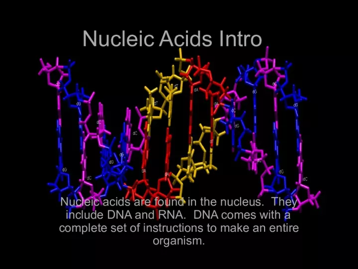 Introduction to Nucleic Acids