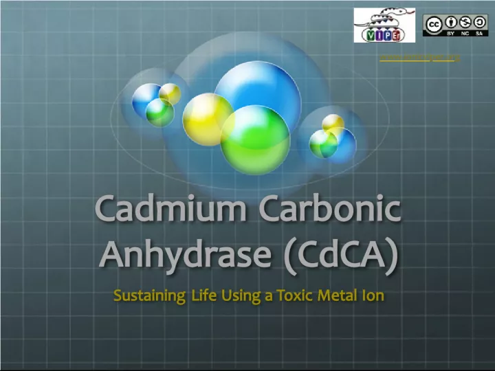 Cadmium Carbonic Anhydrase (CdCA): Sustaining Life Using a Toxic Metal Ion