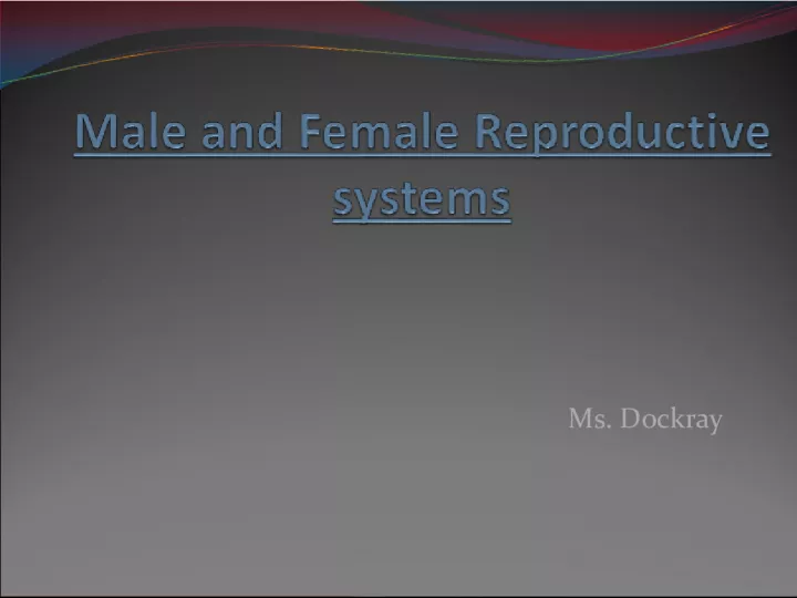 The Reproductive System: Understanding Male and Female Anatomy
