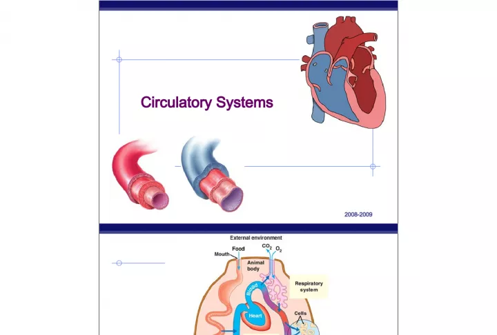 Circulatory Systems and Exchange of Materials in Animal Cells