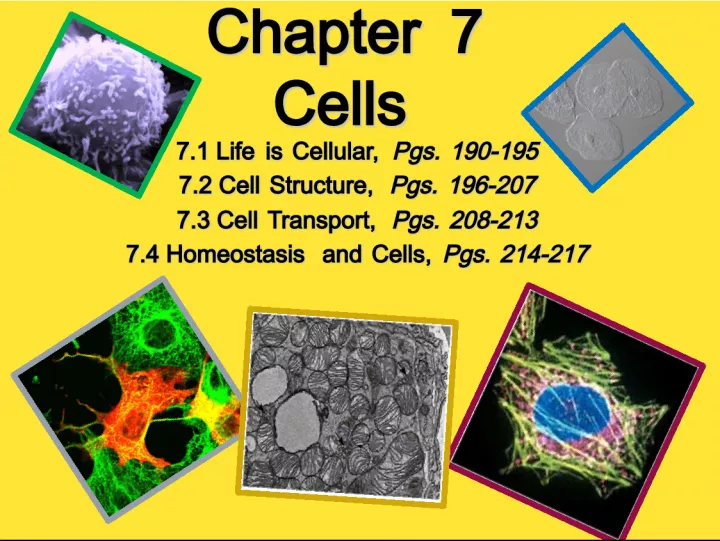 Understanding Cell Life: Structure, Transport, and Homeostasis