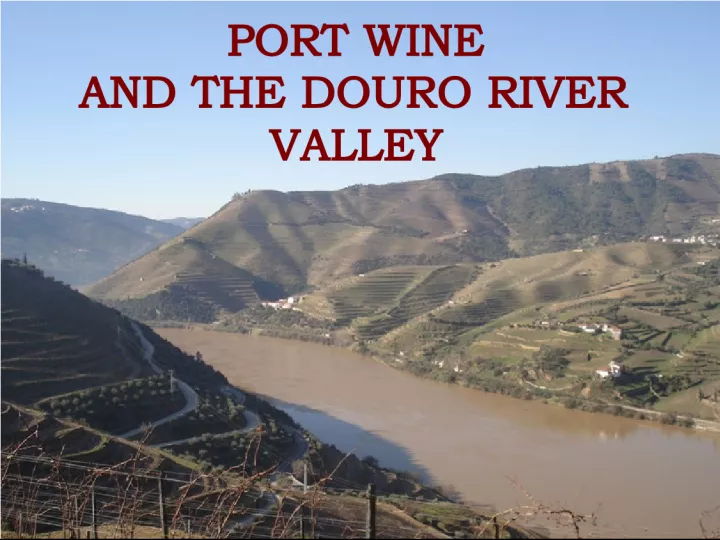 The Wonders of Port Wine and the Douro River Valley