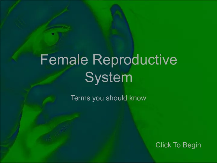 Female Reproductive System Terms You Should Know