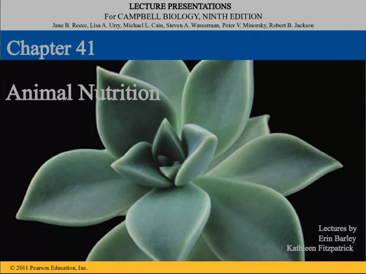 Lecture Presentations for Campbell Biology 9th Edition: Animal Nutrition Chapter 41