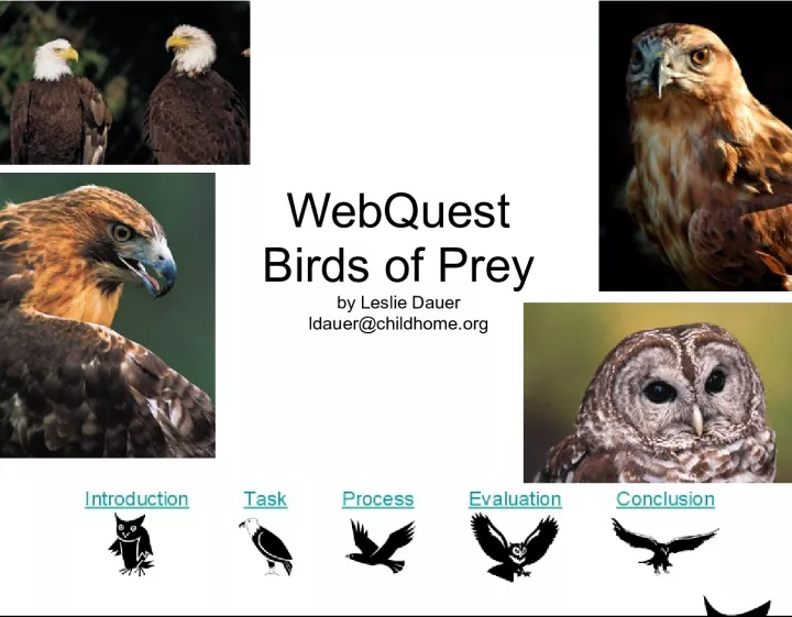 Birds of Prey Advertising Campaign WebQuest