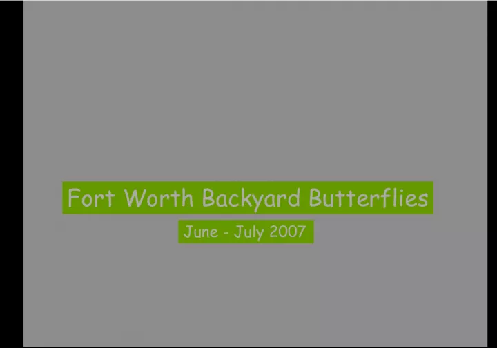 Fort Worth Backyard Butterfly Observations