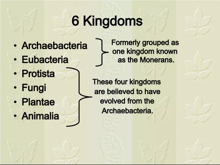 The Four Kingdoms of Life's Evolution