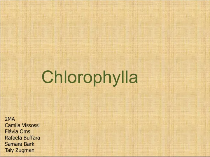 Chlorophylla - A History of Innovative Franchise Brand