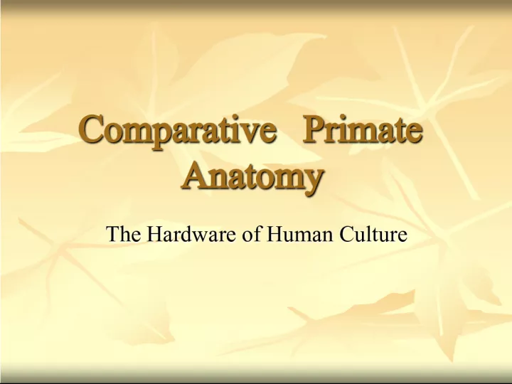 Comparative Primate Anatomy: Understanding the Hardware of Human Culture