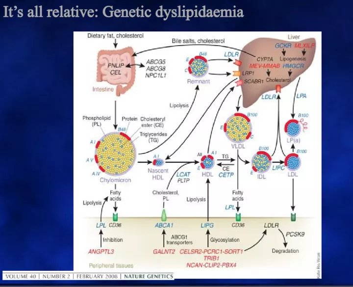 Gene-environment interactions in dyslipidemia and cardiovascular disease
