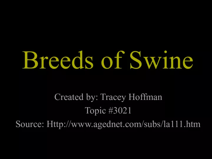 Breeds of Swine: A Brief Overview