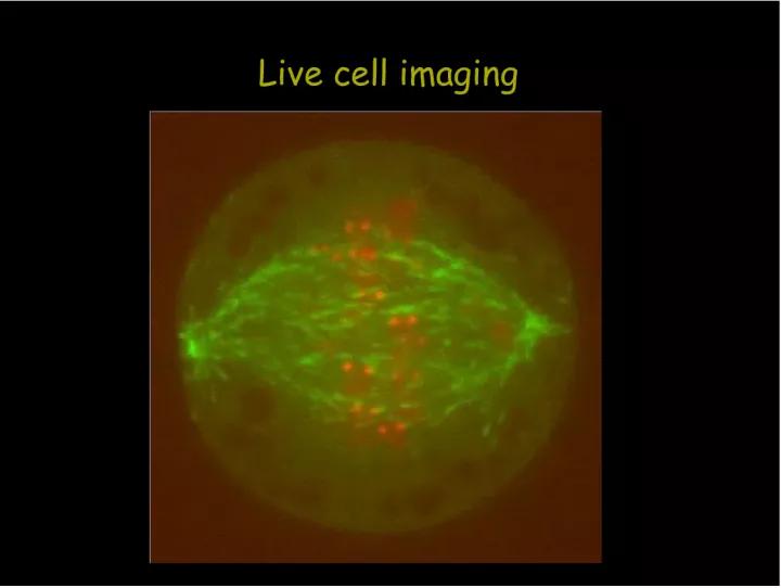 Live Cell Imaging: Planning, Markers, and Applications