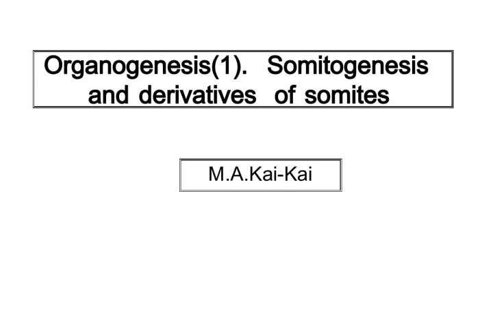 Organogenesis I: Somitogenesis and Derivatives of Somites