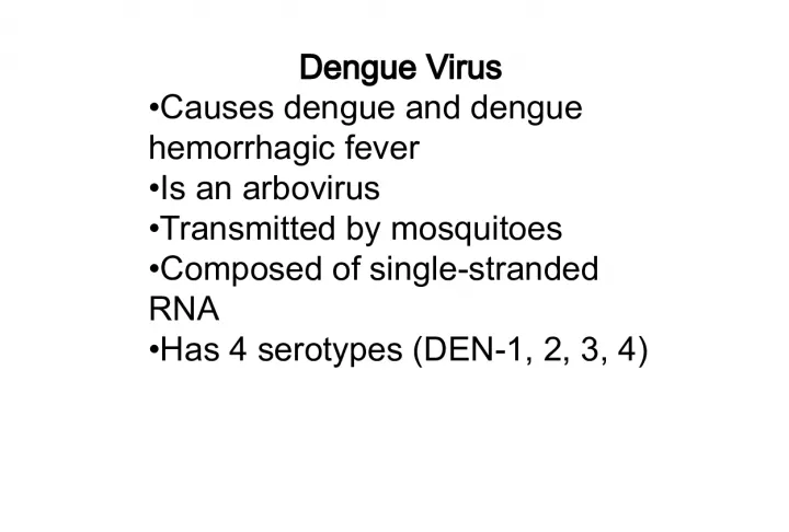 Understanding Dengue Virus: Causes, Symptoms, and Transmission