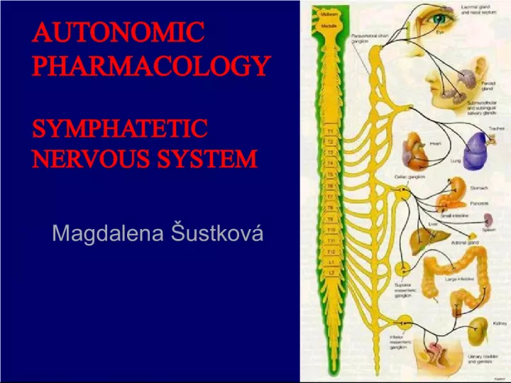 Autonomic Pharmacology - Understanding the Sympathetic and Parasympathetic Nervous System