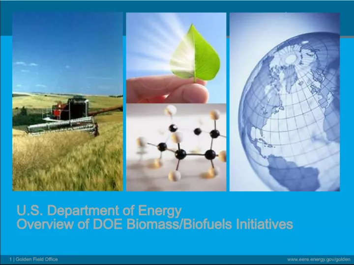 Overview of DOE Biomass Biofuels Initiatives for Sustainable Energy